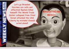FFWN: List of MSM Lies Is as Long as Pinocchio’s Nose